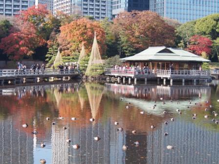 Hamarikyu Garden in Autumn, Tokyo City, Japan.